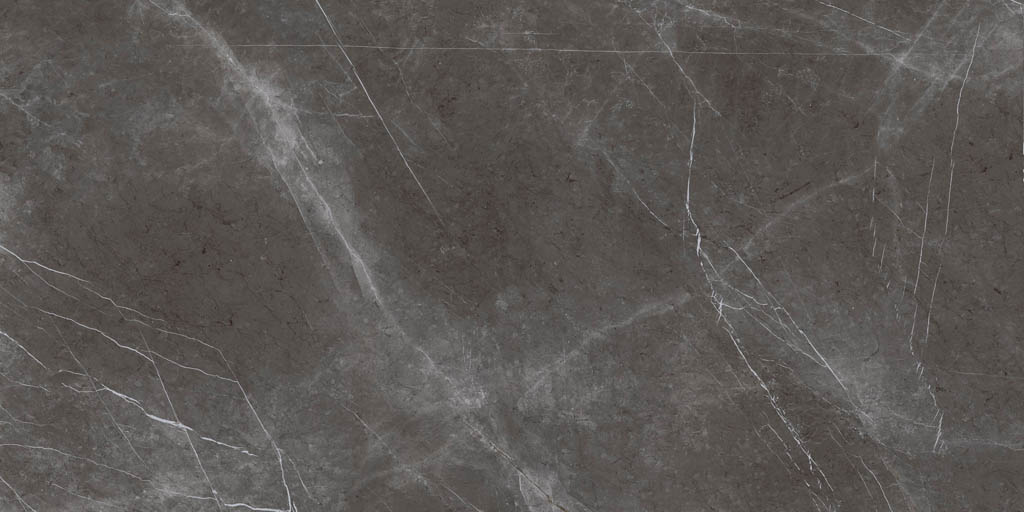 Fiandre Marble Active Pietra Grey