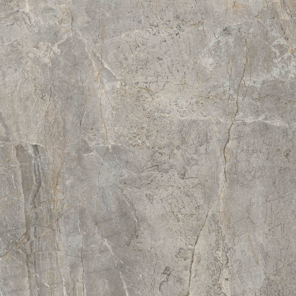 Fiandre Marble Lab Silver Root