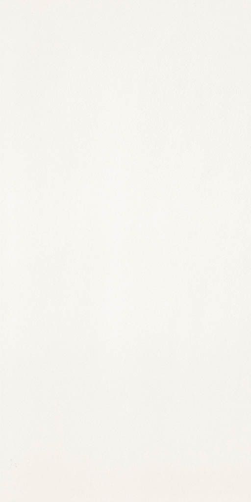 Iris Fmg Chromocode3d Maxfine Titanium White