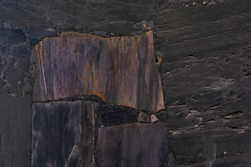 Margraf Black Petrified Wood