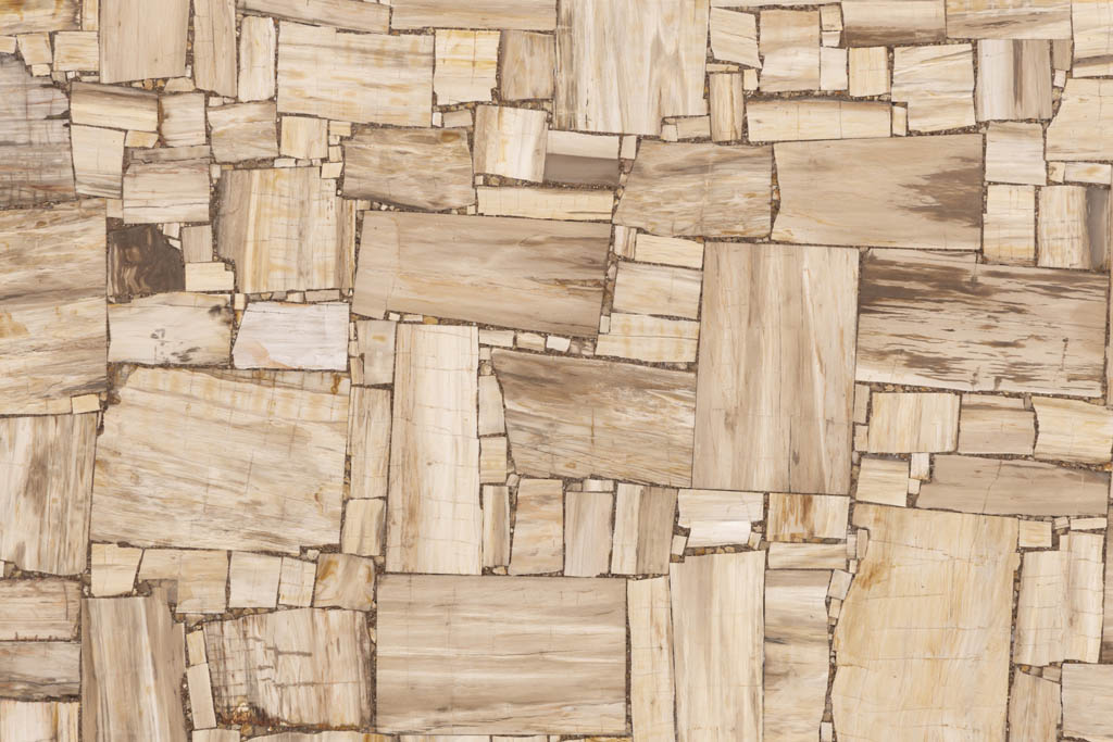 Margraf White Petrified Wood reverse cut
