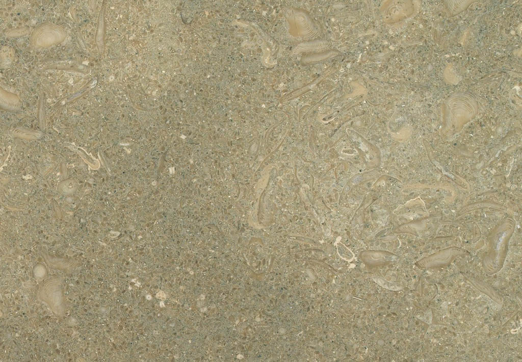 Margraf Fossil Green