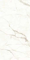 Atlas Plan Calacatta Prestigio