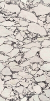 Atlas Plan Calacatta Viola