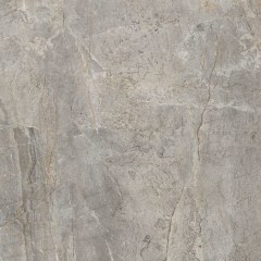 Fiandre Marble Lab Silver Root