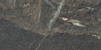 Fiandre Marble Lab Jatoba Brown