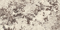 Fiandre Marble Lab Alaska White