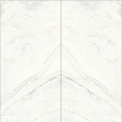 Fiandre Marmi Maximum Premium White