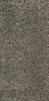Iris Fmg Rialto Earth