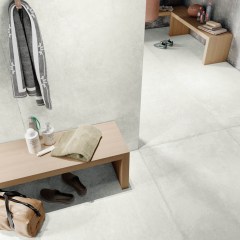 irisfmg_2025_169