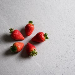 irisfmg_2025_188