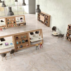 irisfmg_2025_209