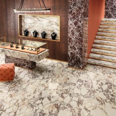 irisfmg_2025_273