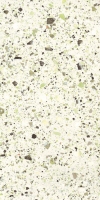 Iris Fmg Venice Villa Venice Green