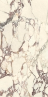 Iris Fmg Select Breccia Medicea