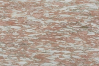 Margraf Rosa Norvegia