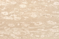 Margraf Perlato Royal