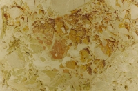 Margraf Alma – Fuoco