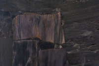 Margraf Black Petrified Wood