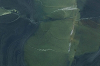 Margraf Avocatus