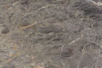 Margraf Breccia di Versailles