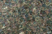 Margraf MOP Abalone