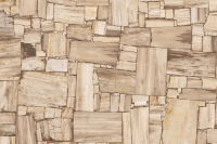 Margraf White Petrified Wood reverse cut