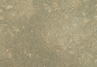 Margraf Fossil Green